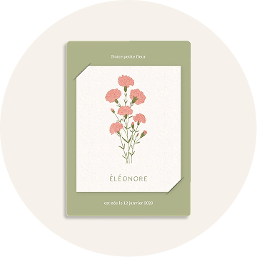 Collection fleurs de naissance