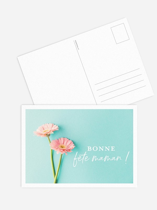 Gerbera