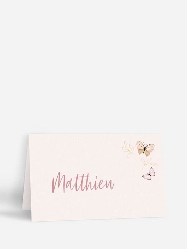 Petits papillons 2