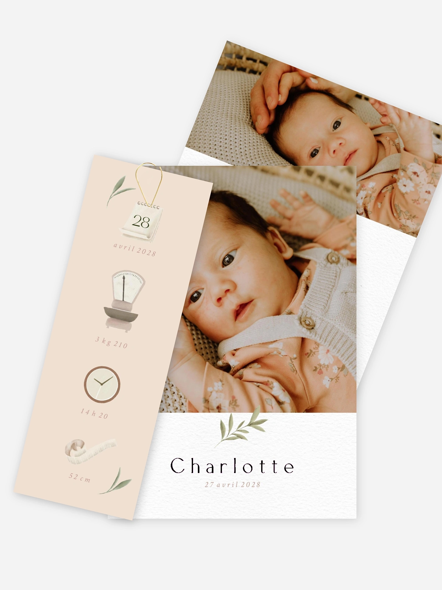 Faire-part naissance Pictos & feuillage