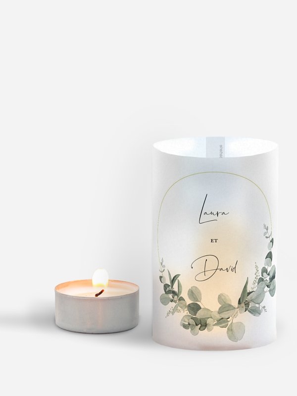 Eucalyptus Love