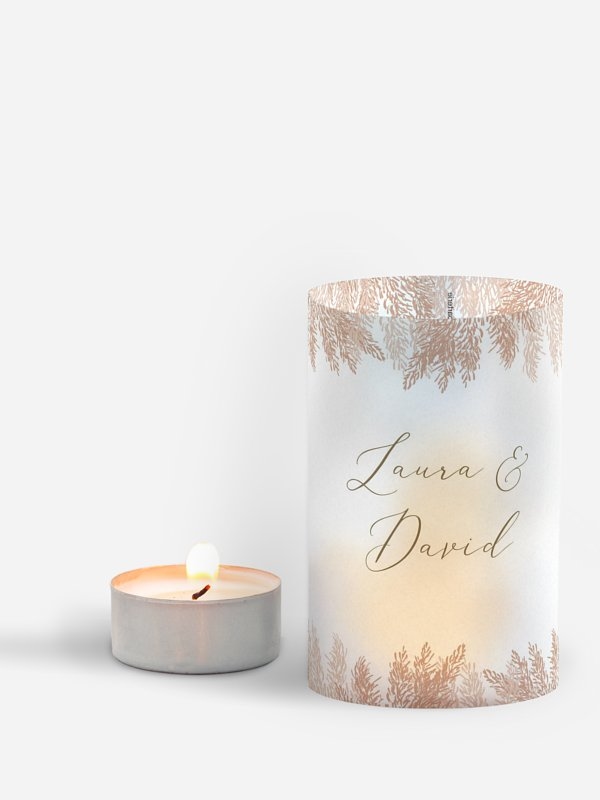 Blush Pampas