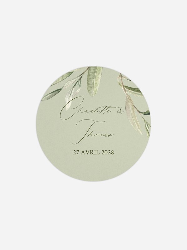 Effluve d'oliviers