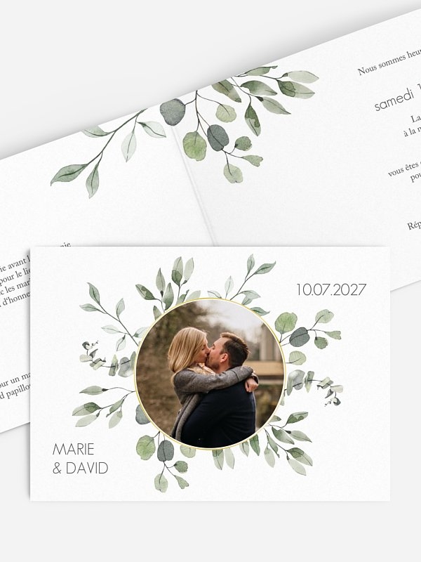 Feuilles d'eucalyptus
